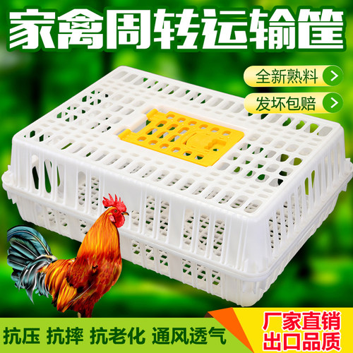 鸡笼子家用加厚家禽周转箱筐大号塑料鸭笼鹅笼鸡笼子加粗兔笼运输