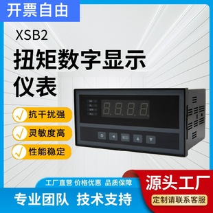 鑫卓扬通用型智能工控系统测力仪表压力测试仪称重力值显示扭矩仪