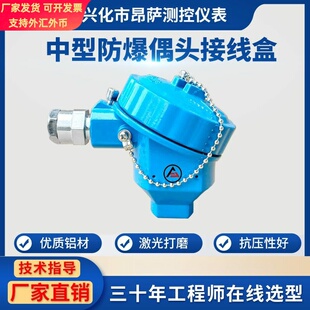 dIIBT4中型防爆接线盒 热电阻偶壳体偶头PT100铂热电阻 仪表配件