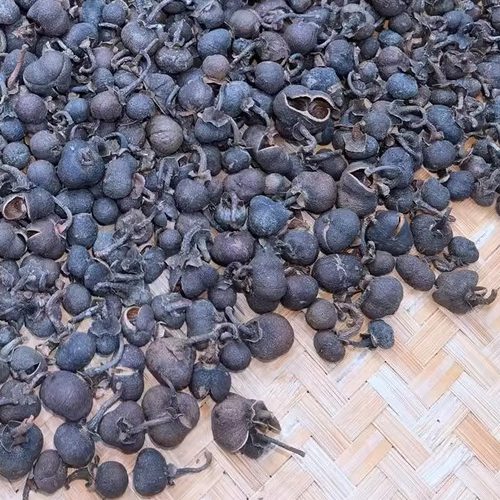 古树荒野康福仙好喝的有