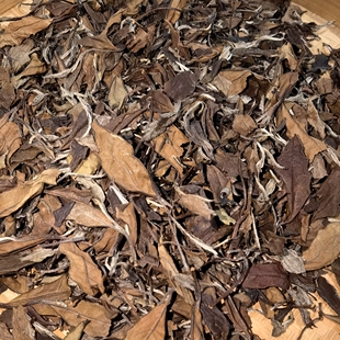 2011年李老仙手作白茶太姥山荒野老树春寿眉500克（限量）