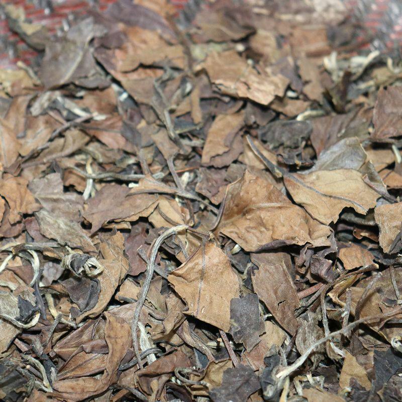 2001年老寿眉孤品特漏