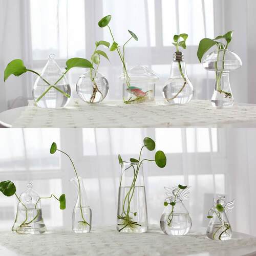 创意水培玻璃花瓶 插花吊瓶绿萝铜钱草 桌面装饰摆件玻璃工艺品定