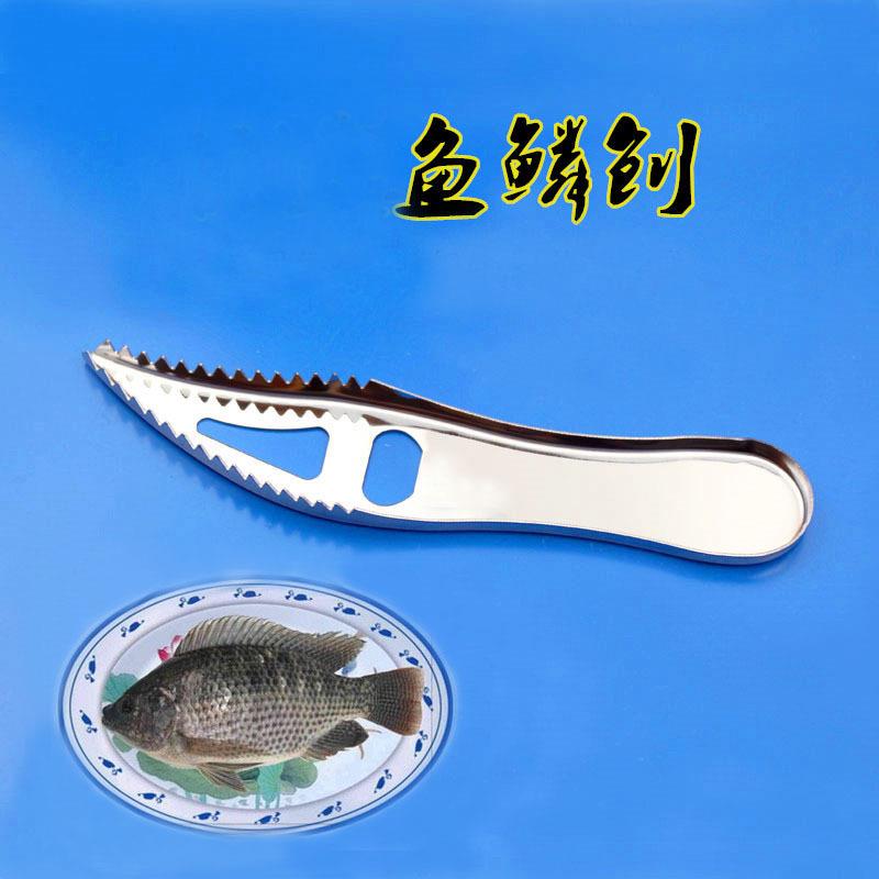 不锈钢去鳞刮鱼器 厨房小工具鱼刮鱼去鳞器刷子 鱼鳞刨定制