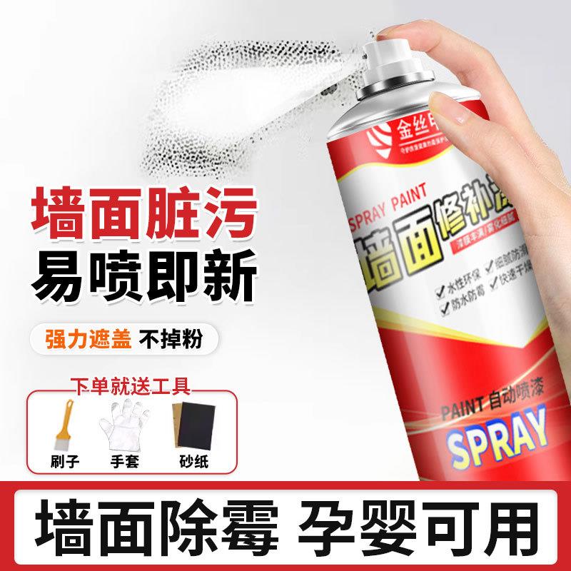 室内墙面漆环保喷漆白色涂鸦水性漆自喷家用墙面修补翻新漆定制