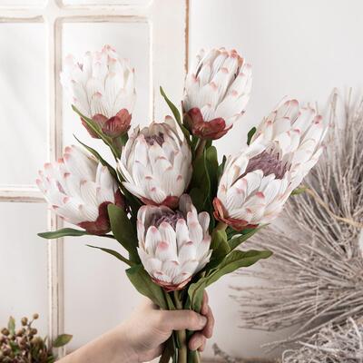 永生帝王花仿真花厂家假花绿植物装饰工艺品INS风跨境MW25580定制