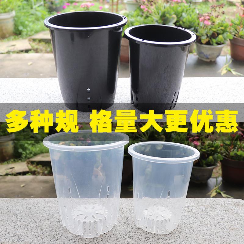 2025新款透明蝴蝶兰青山控根盆打孔花盆兰花专用加厚加高塑料花盆