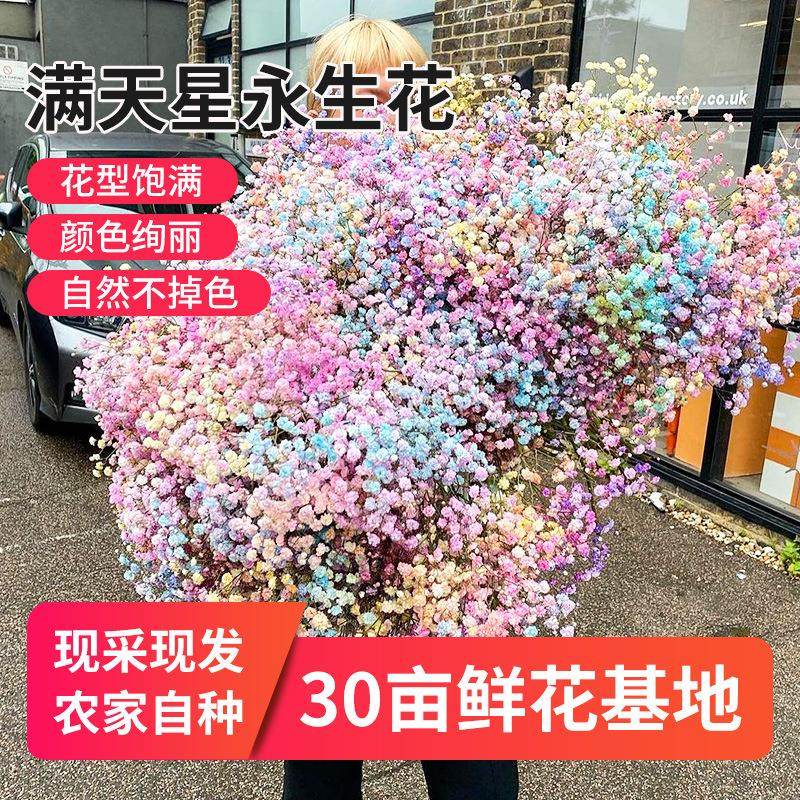 情人节礼物天然干花 满天星干花小花束创意家居摆件大量批发