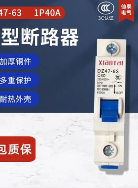 仙泰1P40低压断路器 DZ47-63空气开关 供应C40小型断路器