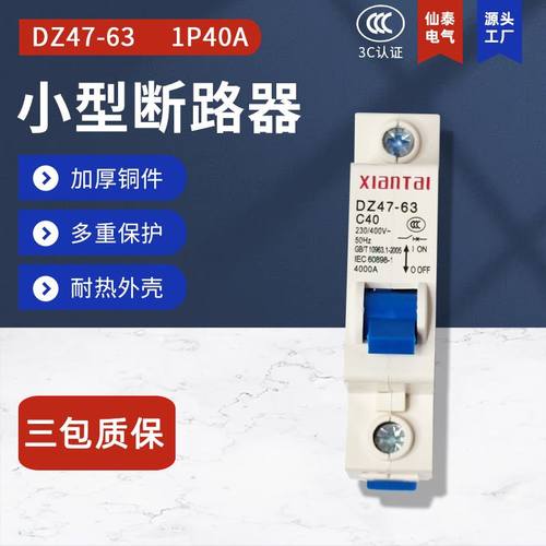 仙泰1P40低压断路器 DZ47-63空气开关 供应C40小型断路器