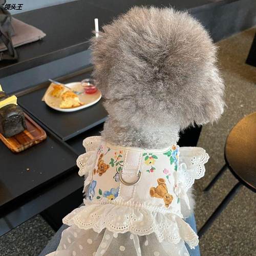 INS风韩国宠物狗狗比熊小型犬透气网眼胸背带 马尔济斯外出牵引绳