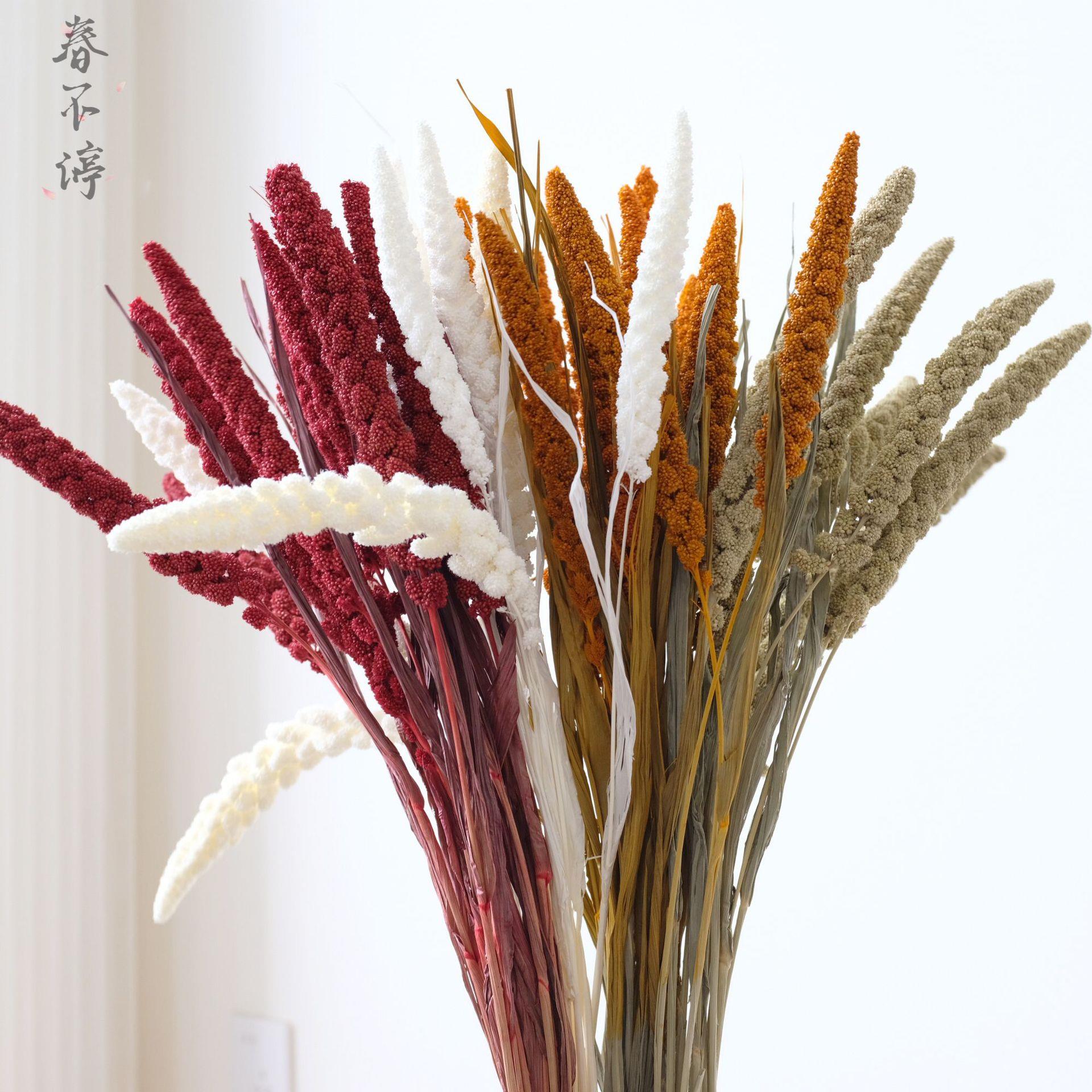 干花小米穗田园花艺软装摄影摆件节日礼物插花摆设花束花材厂家定