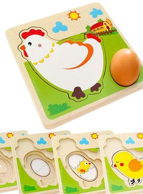 小鸡母鸡成长下蛋过程拼图拼板0.55/MG03 幼儿园学前教育早教玩具