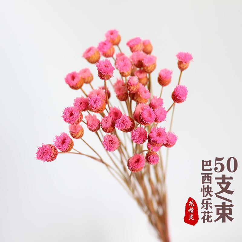 【干花】巴西快乐花干花 复古拍摄道具 家居装饰花束diy花材定制
