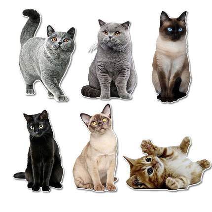 外贸汽车贴纸逼真可爱猫咪车身保险杠装饰贴家具笔记本电脑贴定制