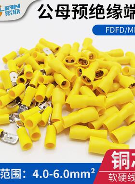 100公母插簧插簧冷压接线端子 FDFD5.5-250*50 DD5.5-250*50M