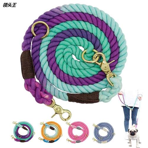 两只狗狗牵引绳两个二合一拖二双头双狗遛狗绳子半P链项圈小型犬