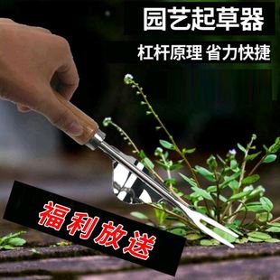 sus430园艺工具不锈钢起根器除草器松土器拔草铲挖草器专用挖根器