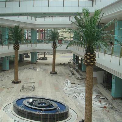 仿真植物海枣树仿真海藻树假树椰子树葵树仿真度高年不