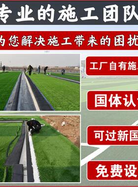 厂家足球场草坪运动馆绿色人工假草皮彩色户外足球場造仿真草
