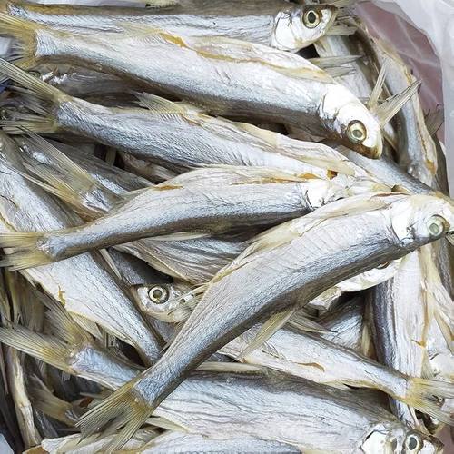 日晒湖北刁子鱼干鱼干