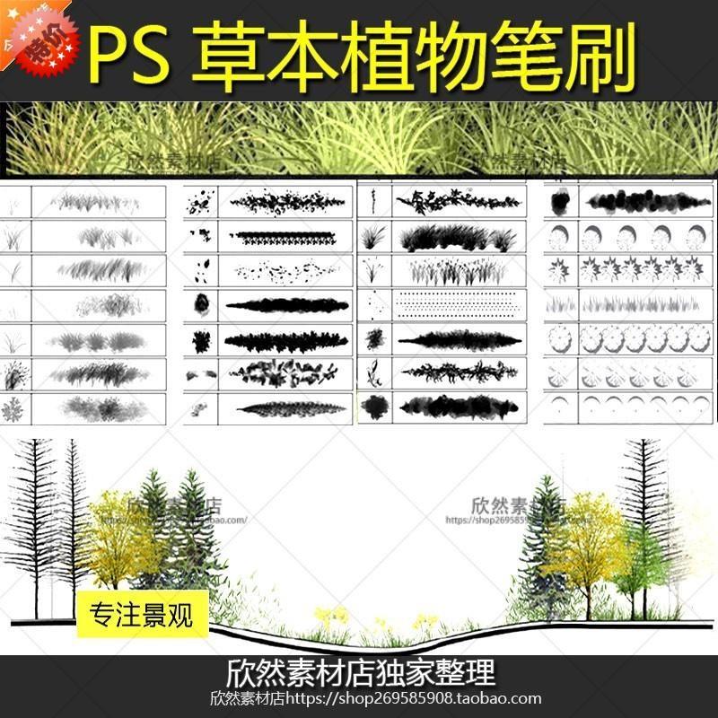 M91花草树木草本植物PS笔刷平面图剖立面效果图规划建筑景观素材