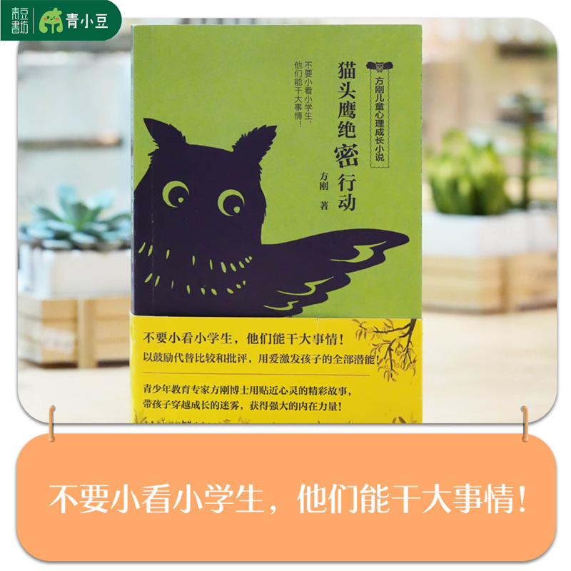 猫头鹰绝密行动 方刚儿童心理成长小说 不要小看小学生他们能干大事情 帮孩子获得强大的内在力量小学生心理健康校园儿童文学励志