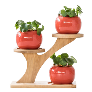 迷你花盆架子桌面多层小花架绿萝多肉实木窗台阳台客厅办公室摆设