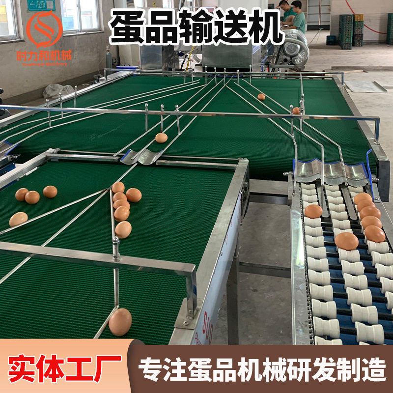 厂家供应蛋品皮带输送机鸡蛋鸭蛋收蛋平台不锈钢架体送料机,清洗/食品/商业设备,选果机/分选机,淘宝优惠券,粉丝福利购,淘宝优惠卷