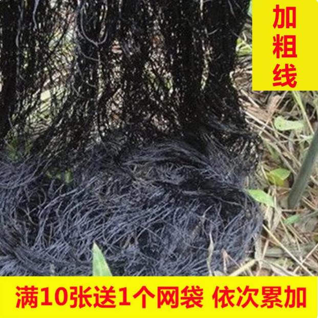 套尼龙线加粗长条户外黑色网虫韧性柔软公分有韧性加粗辣条网防护