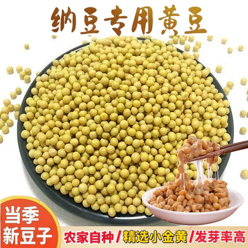 纳豆专用黄豆690小金黄当季新豆