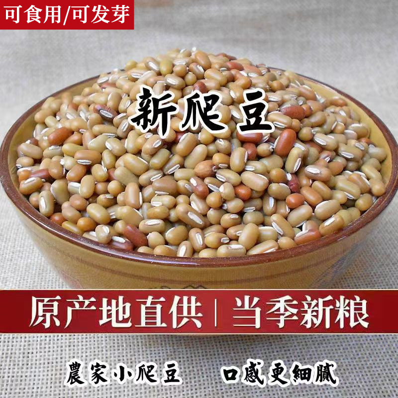 爬豆山东新爬豆蔓豆芽苗菜熬粥