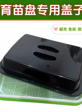 育苗盘专用盖子黑色保温保湿透明遮光盖水培芽苗菜免纸育苗种植盘