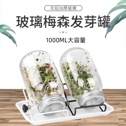 家用梅森玻璃发芽瓶芽菜发芽罐