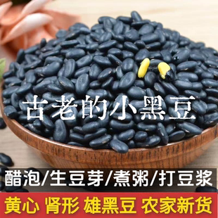 传统老品种黄心黑豆农家自种非转基因小黑豆醋泡打豆浆发豆芽专用