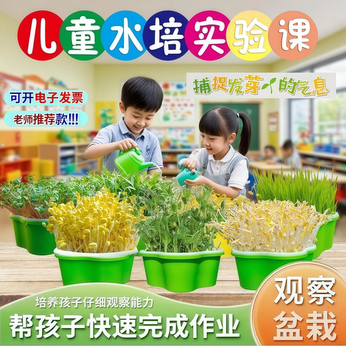 小学生儿童植物观察盒水培套装