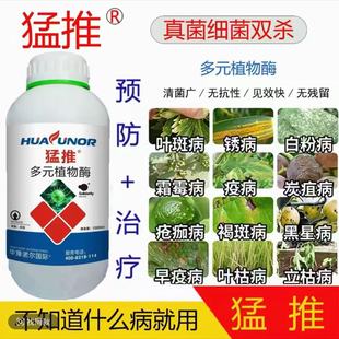 猛推多元植物酶清菌广真菌细菌病毒葡萄辣椒灰霉霜霉白粉阿维菌素