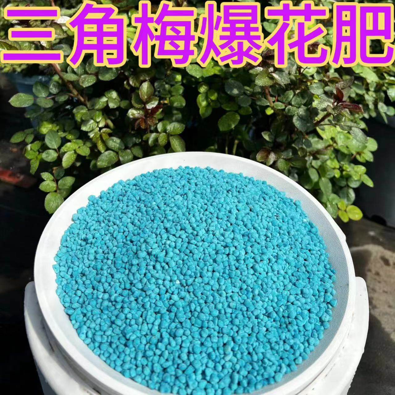 三角梅爆花肥开花专用肥爆花盆栽家用养花催花促开花腊梅通用花肥,鲜花速递/花卉仿真/绿植园艺,家庭园艺肥料,淘宝优惠券,粉丝福利购,淘宝优惠卷