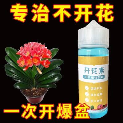 植物开花素通用型植物月季营养快速开花肥料催花促花高浓缩冒花素