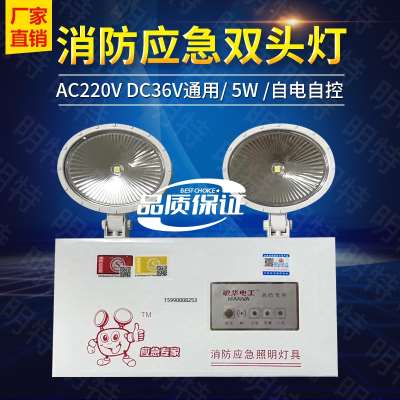 敏壁挂式壁灯DCAC非消防制双头型华中控集36V220应急灯 V