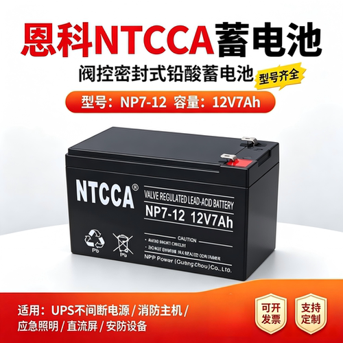 NTCCA恩科蓄电池12V消防UPS电源