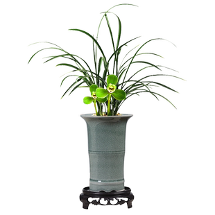 古韵陶瓷哥窑花盆小叶赤楠盆景创意文竹简约绿萝兰花菖蒲多肉盆栽