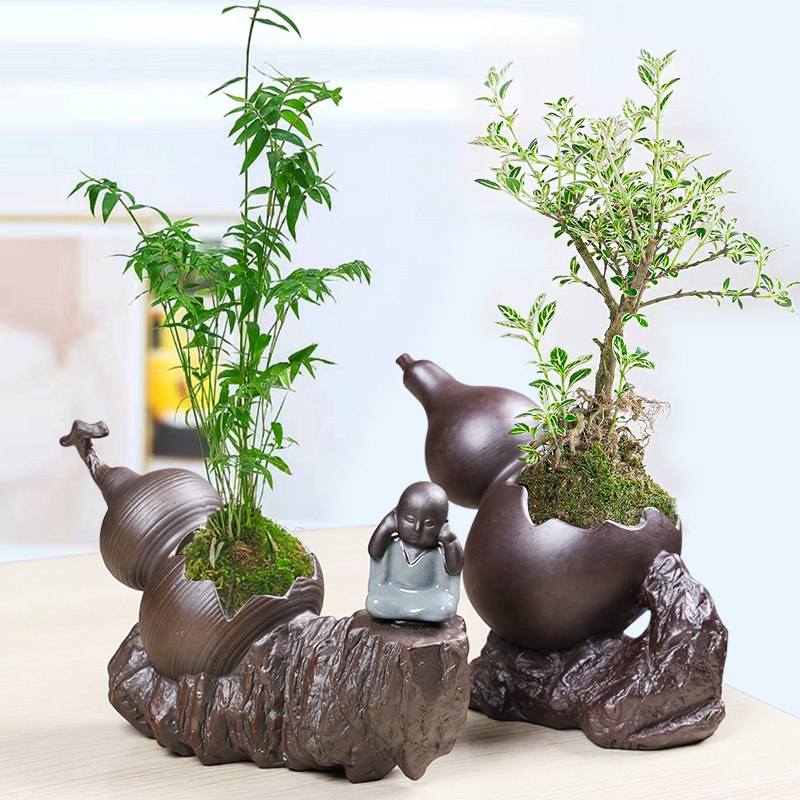 紫砂花盆陶瓷创意葫芦复古家用桌面禅意多肉兰花文竹观景盆栽清仓