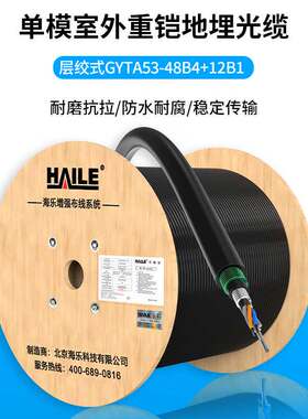 海乐HAILE 松套填充式直埋铠装光缆 GYTA53-48B4+12B1 1米 100米起售 多买整体发货