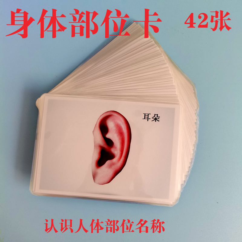 身体部位眼耳口鼻名词认知卡片