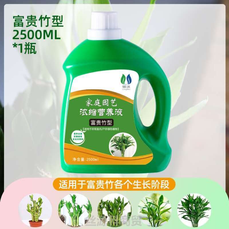 土壤绿植草室内营养通用铜钱家用浓缩喷施盆栽花水水家庭花肥室内