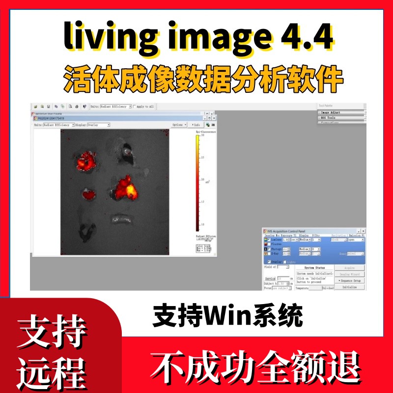 living image4.4软件安装活体成像分析永久激活赠使用教程支持win