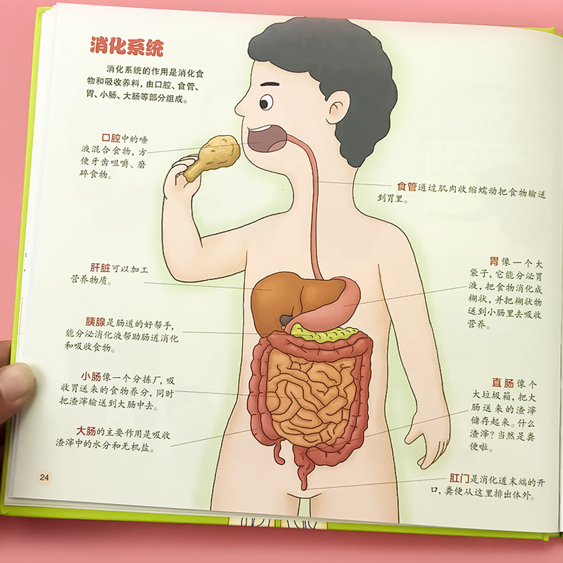 3-6到8岁少儿科普类书籍 人体百科全书 大百科我们的身体小秘密 幼儿