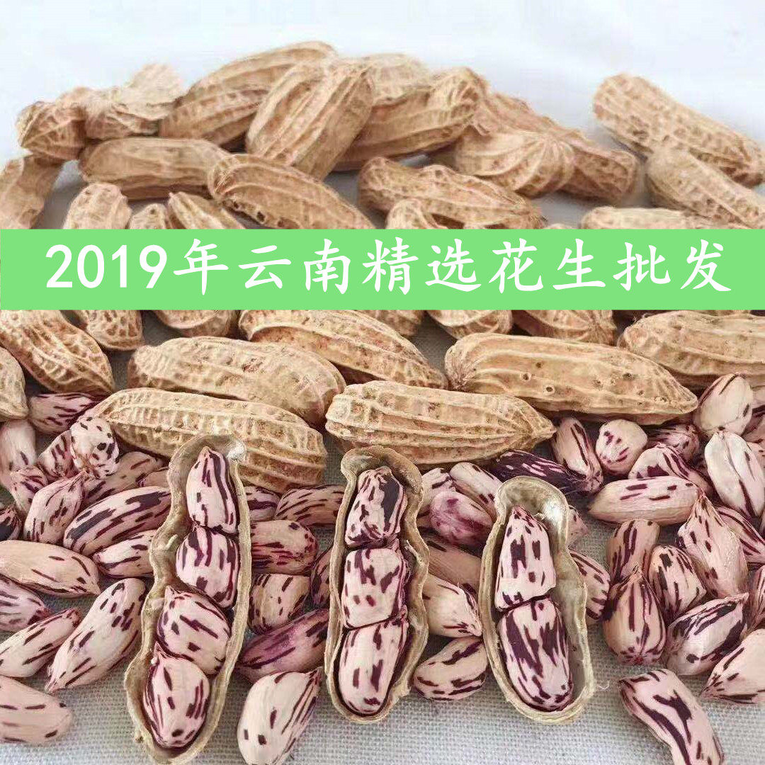 2020年新货云南七彩花生晒干1000g孔雀五彩带壳散装彩色花生米种