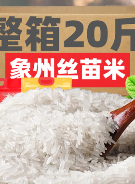 XMW2024年新米猫牙米晚稻超丝苗长粒香米大米煲仔饭米蛋炒饭粥米